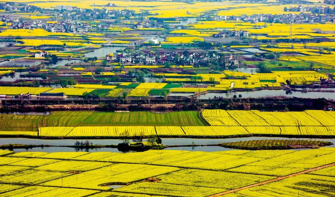 安徽最容易被忽视的地方,安徽低调吗