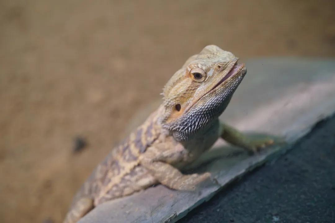 占地30000㎡！这艘建在安华汇天台上的巨船，竟是亲子乐园
