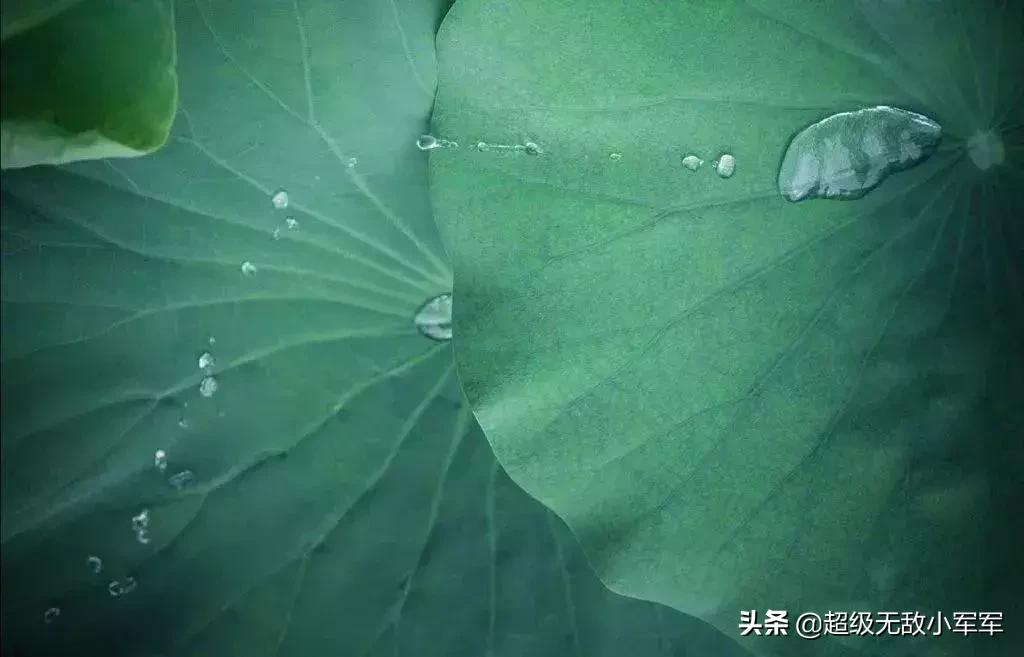 佛说做人请不要炫耀,佛说为什么不能炫耀