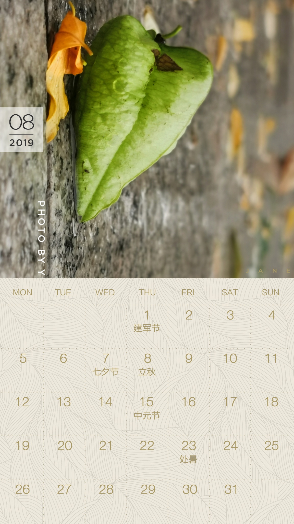 送你一张凉快动态壁纸,大暑送你清凉壁纸