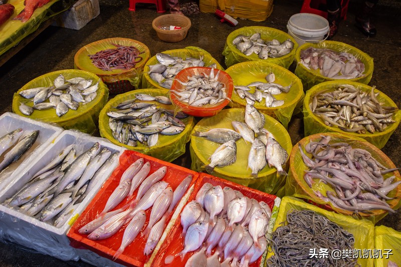 厦门鼓浪屿详细旅游攻略,厦门旅游住鼓浪屿攻略路线推荐图