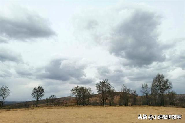 故事：朱迪问朵拉为什么选择哈登，朵拉的回答，使朱迪感动不已