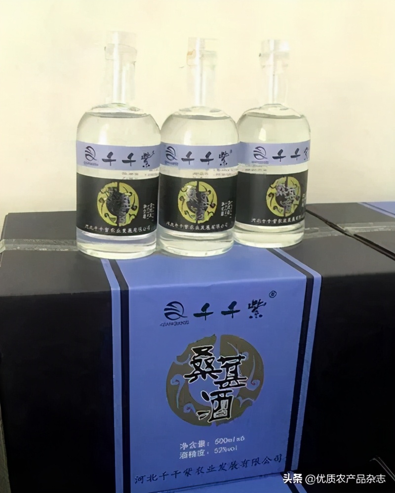 果桑产业高效生态发展模式开发,果桑产业新模式