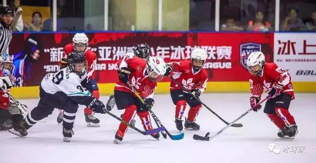 为什么打冰球,打冰球一年需要多少钱