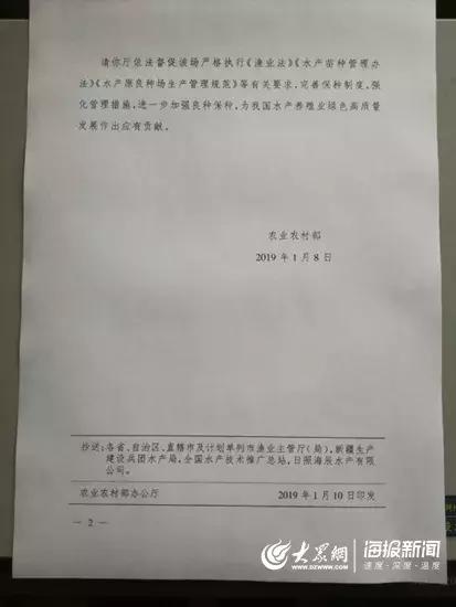 厉害了!国内唯一一家“国字号”对虾良种场,在日照诞生!