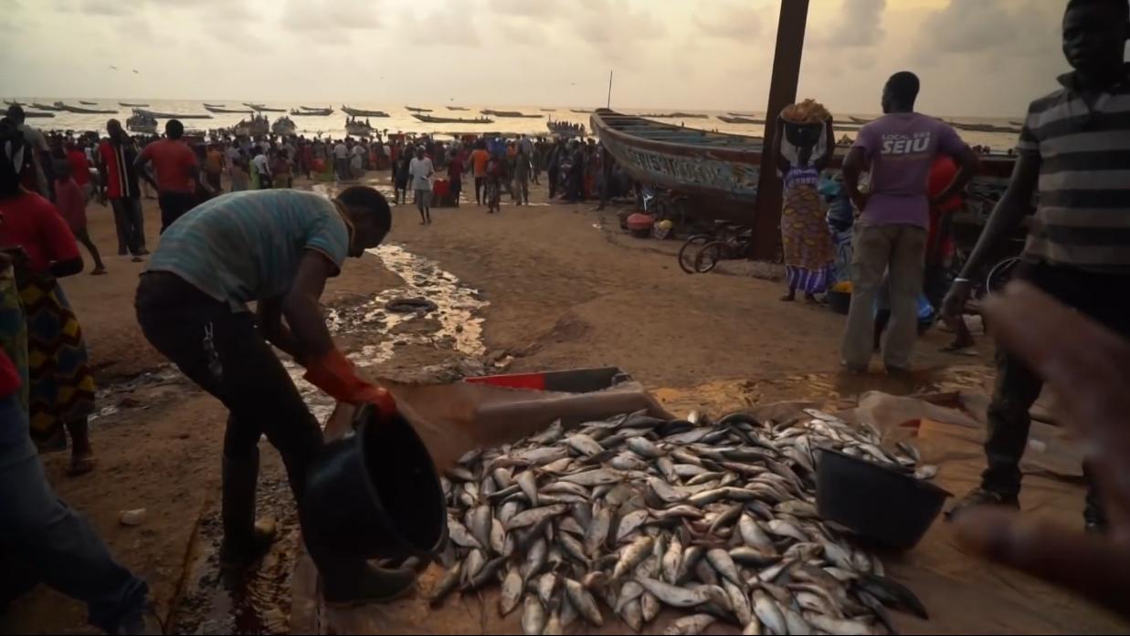 非洲小哥淘来法国二手车开出租，280公里只要47元，但要开12小时