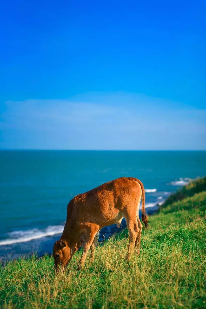厦门精绝古城,离厦门1.8公里的地方