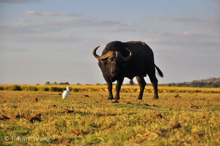 汇率起起伏伏，自然旅行跟着这张表格走，最划算