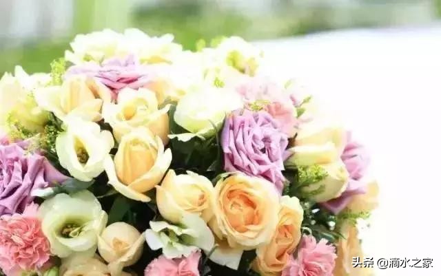 滴水之家：生活小妙招，招招皆大用！