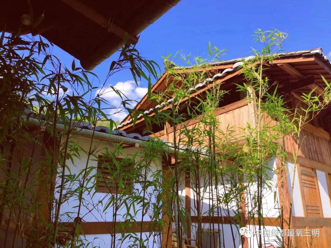 中国绿都最氧的三明将乐,中国绿都最氧三明康养之旅