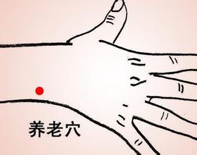 老人常按养老穴和合谷穴,养老穴位