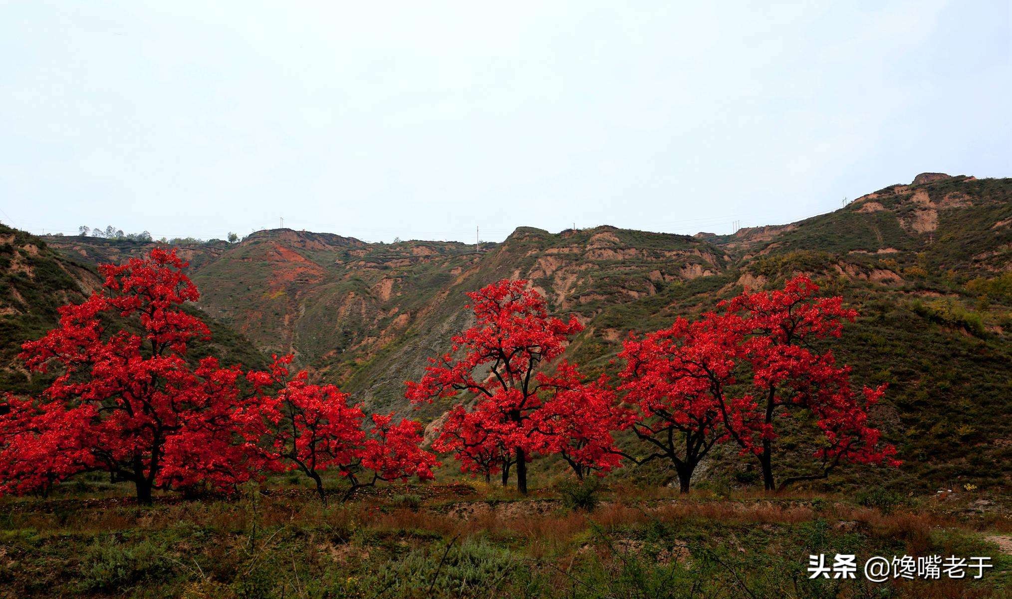 绔嬬鍚庣殑娌欐紶瑗跨摐,鍏ョ鍚庣殑瑗跨摐鑳戒笉鑳藉悆