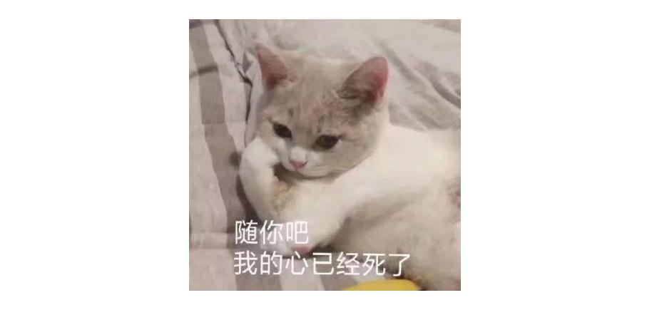 qq邮箱发错人可以撤回吗,qq邮箱发错文件可以撤回吗