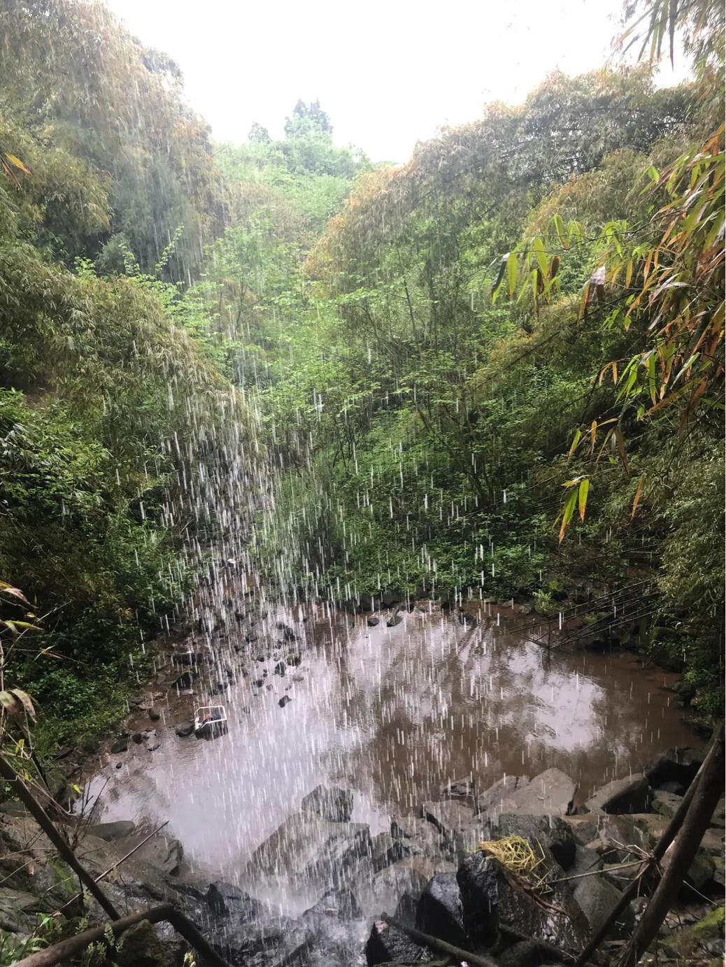 马家岩紫色花树,马家岩宜居
