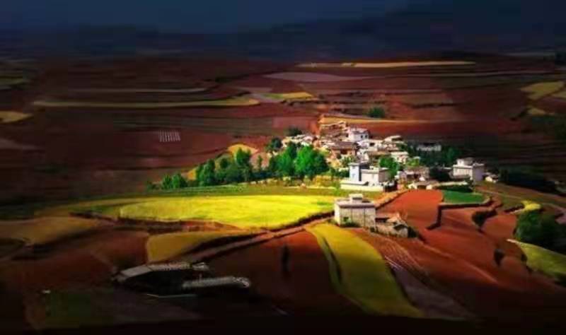 品味秋韵话金秋作者：姚林宝