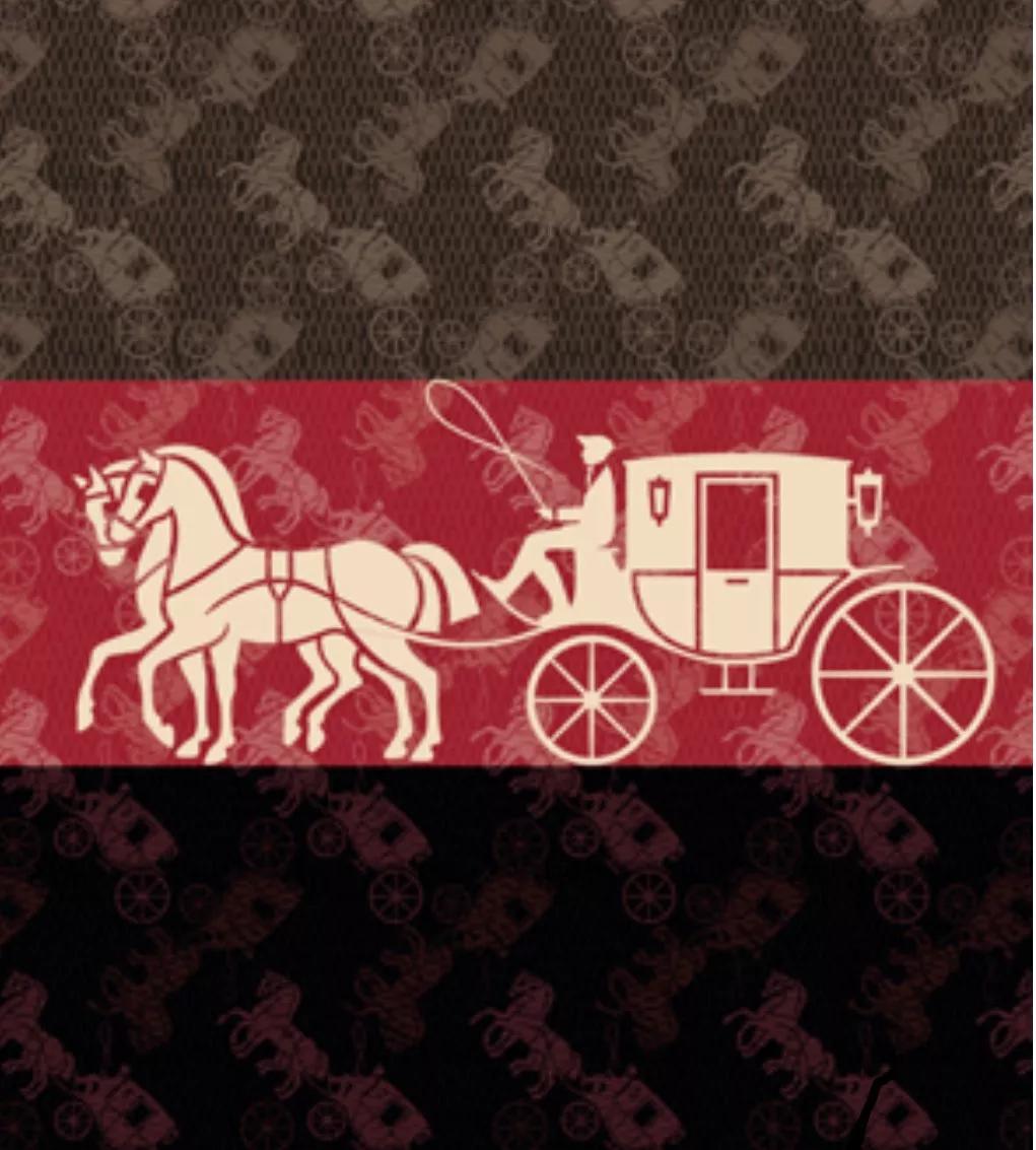 coach教练引导术,coach最新版