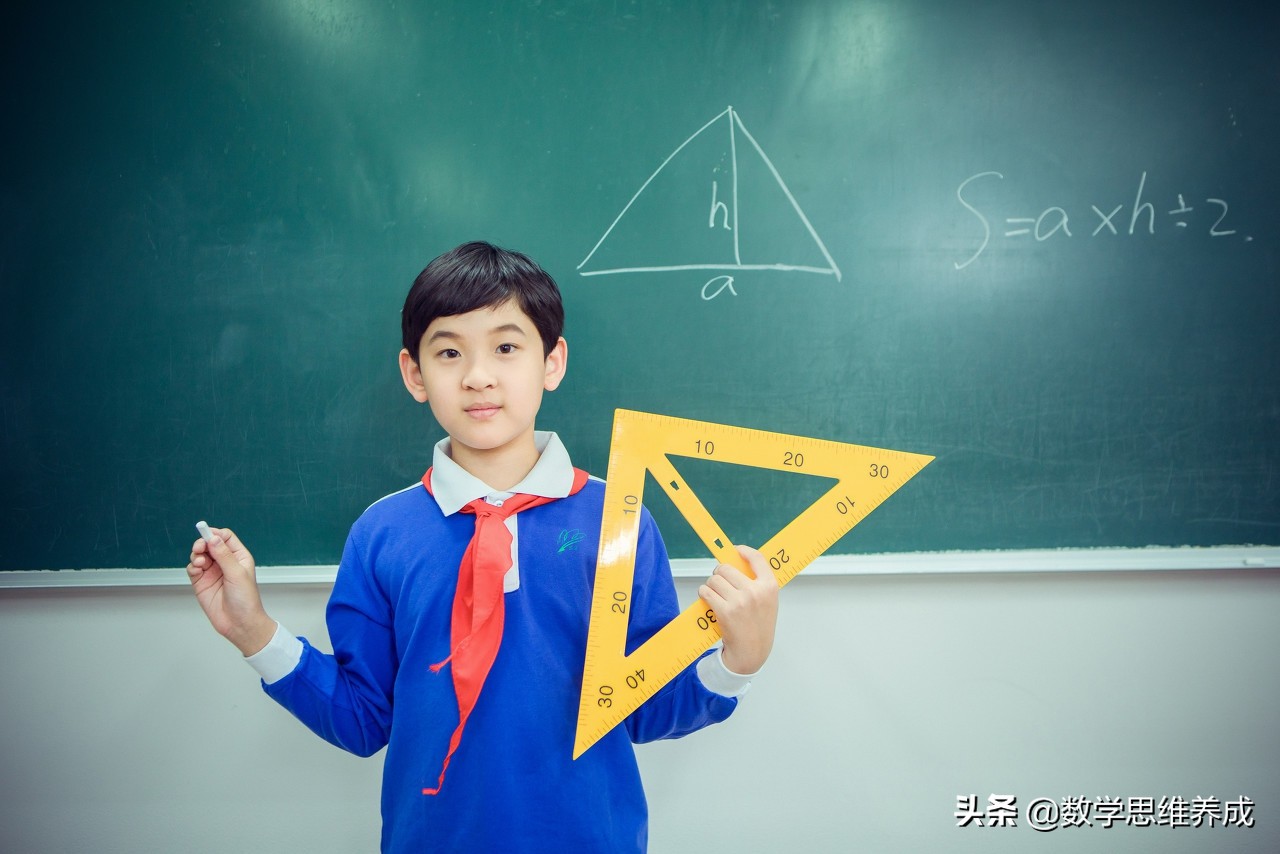 扇形统计图八年级下册,四年级下数学条形统计图预习笔记