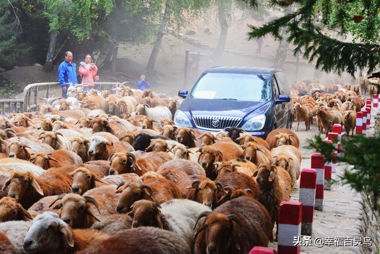 西天取经自驾游攻略,贵州出发自驾敦煌旅游攻略