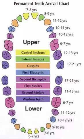 小孩乳牙没有掉要去医院拔牙,恒牙出来多久了乳牙未掉需要拔牙