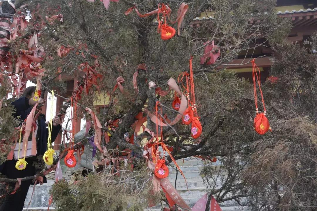 曲沃桥山介绍,曲沃桥山