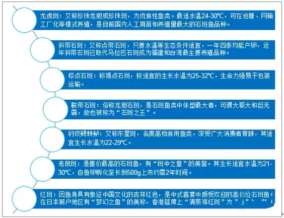 海南石斑鱼产业发展,石斑鱼发展前景和需求报告