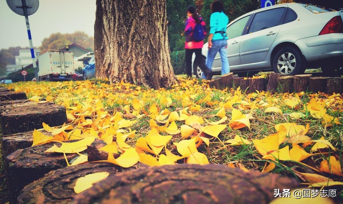 实力稳居中国第二的航空航天大学,中国航空大学实力排名