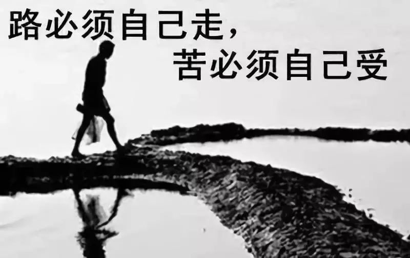 路要自己走原唱,路需要自己走的图片