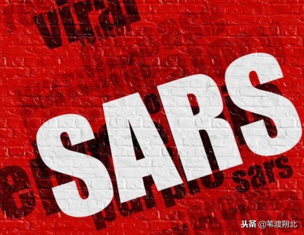 三元九运行业风口在哪里,三元九运未来5年最赚钱行业