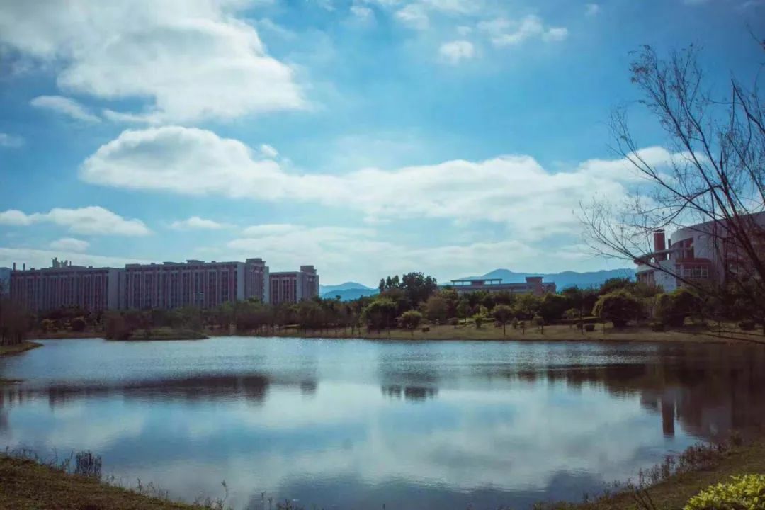 广东大专公办院校排名,广东省最好大专院校排名