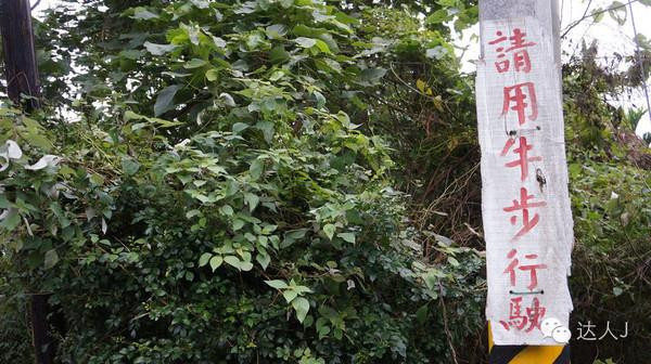 花莲|一人有一家民宿