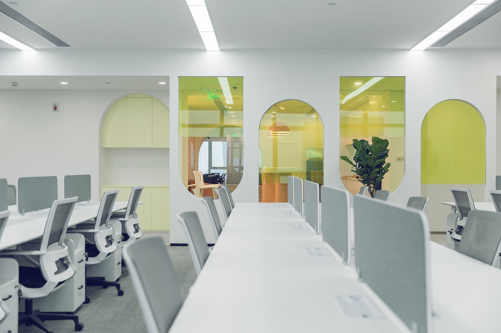 打造新型电商产业平台基地,专业打造网红电商