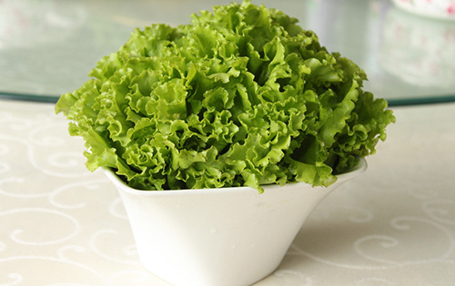 生菜的种植时间和种植方法,生菜的种植技巧和种植时间