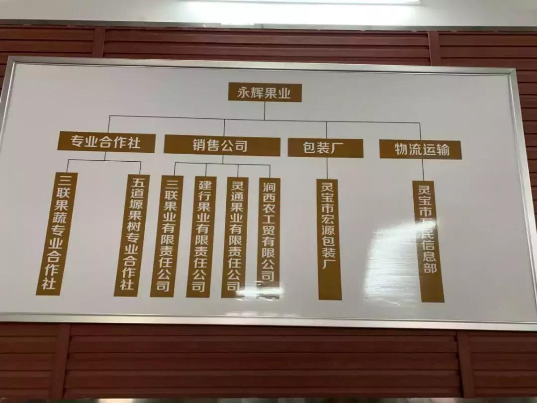 30元一颗的“灵宝金苹果”，如何在跌宕起伏的水果行业稳固生存？