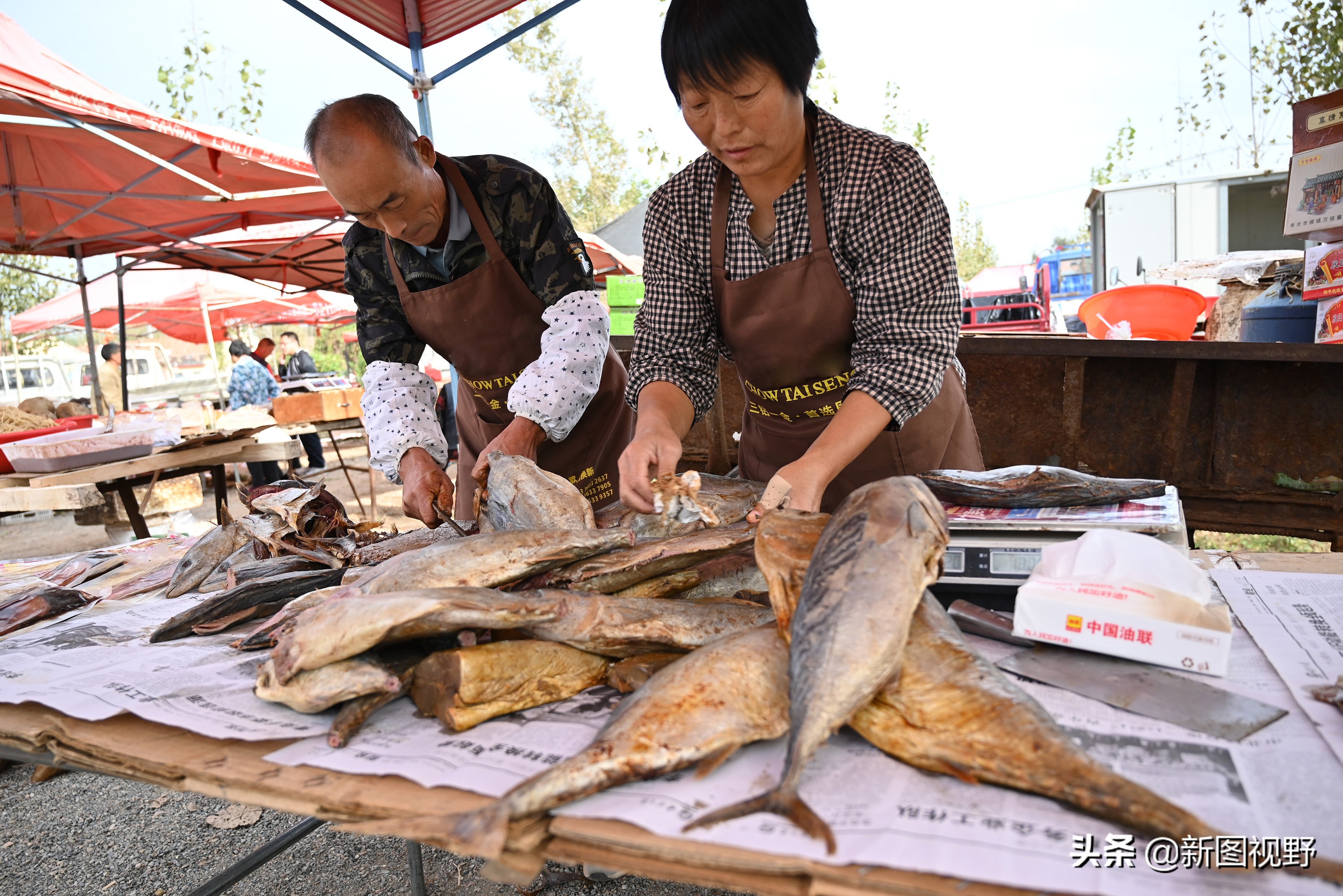 农村卖鱼夫妻,农村夫妇卖鱼视频
