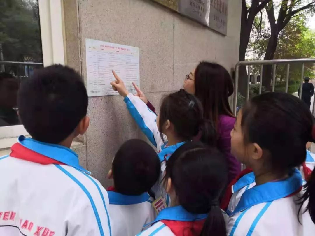 啄木鸟行动调查纠正校园错别字,啄木鸟在行动寻找错别字活动方案