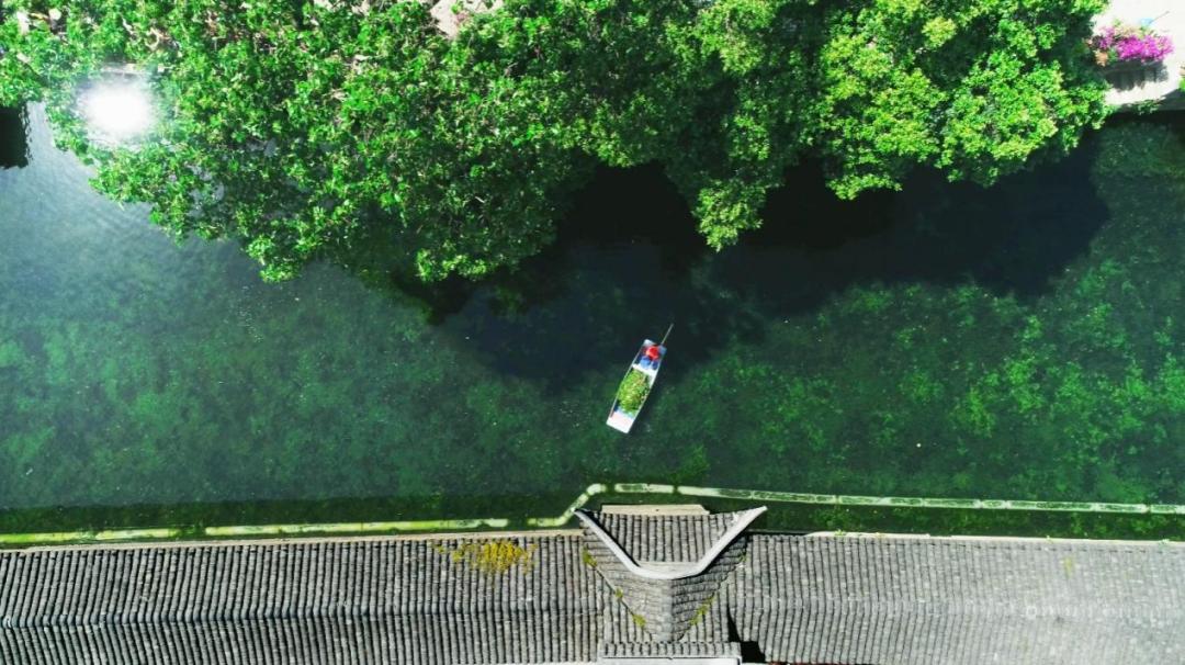 36所：以高质量发展助推蝶变跃升