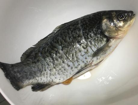 鲫鱼汤的正确做法不煎,鲫鱼汤怎么煎鱼皮不破