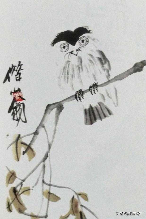 一学就会的禽鸟画法书,禽鸟的画法大全图解