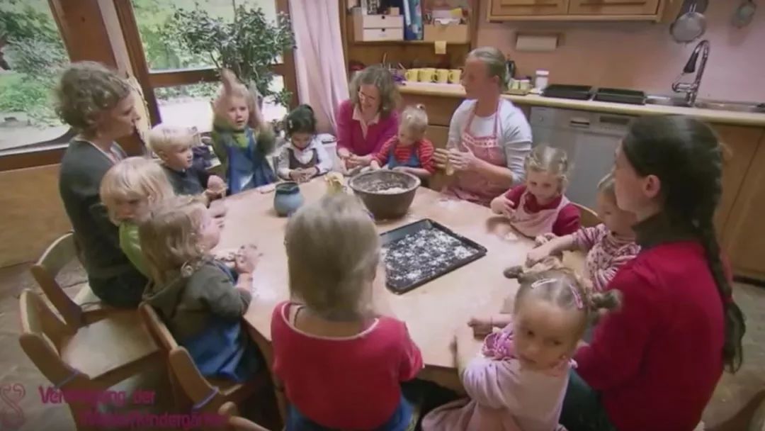 国家对华德福的态度,华德福在中国的发展历程