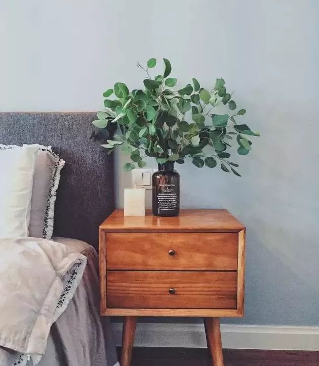 插花花材的固定技巧,三种花材插花教程新手入门