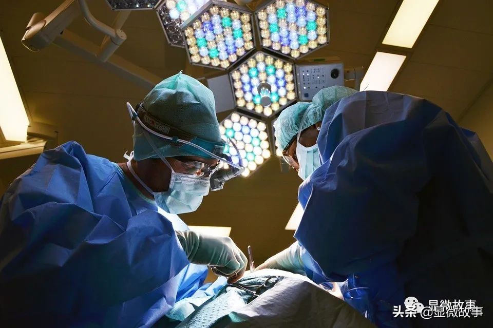 我只卖凶宅大概剧情,我只卖凶宅542章