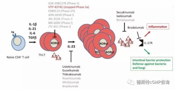 这条明星信号通路已催生多款重磅新药治疗多种炎症性疾病