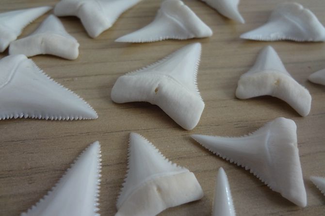 这几种文玩千万别碰,这8种文玩好玩好盘无假货