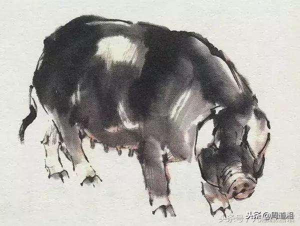 国画工笔猪图片,大写意画猪国画作品