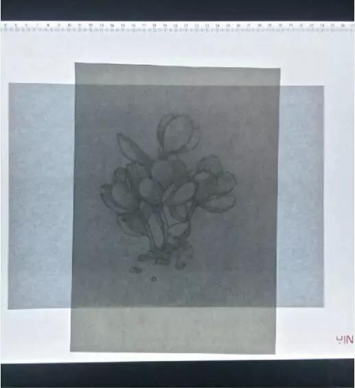 彩铅画入门教程多肉,彩铅画教程入门多肉