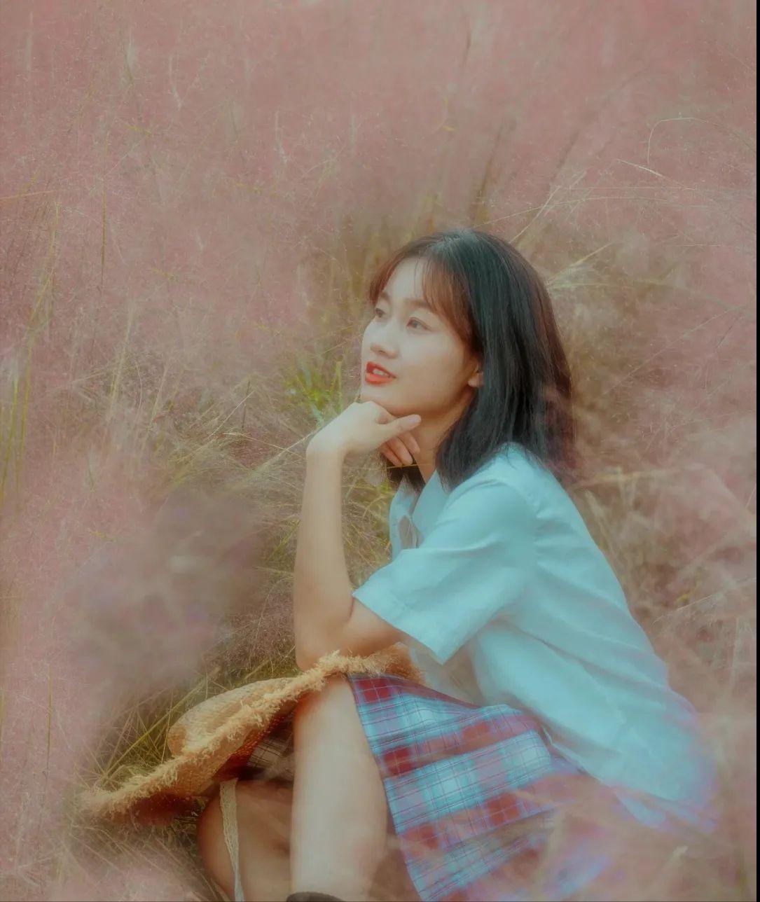 粉黛乱子草红了！成都周边这6个地方，不收门票这周就能去