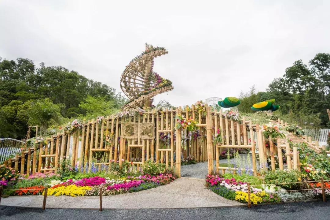 未来10天预警，深圳最最最最火的地方在这里，美女都赶来打卡