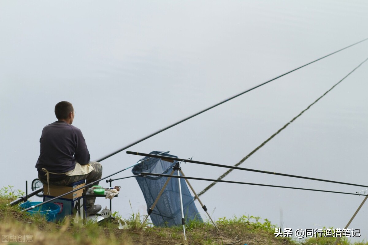 手竿串钩钓白条的正确使用方法,手竿串钩钓黄辣丁的最佳方法