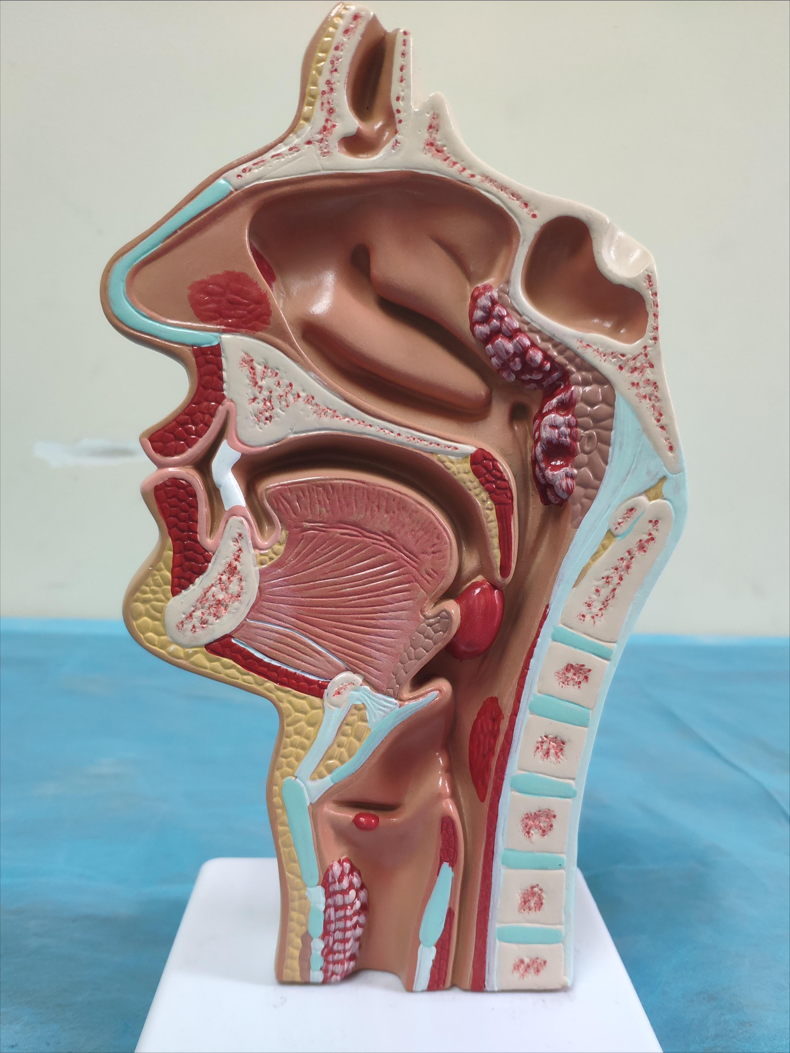 4岁儿子脾气暴躁，安静不了，是腺样体肥大还是多动症，要手术吗