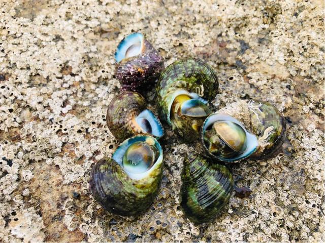 成都北海涠洲岛自由行,成都到涠洲岛攻略